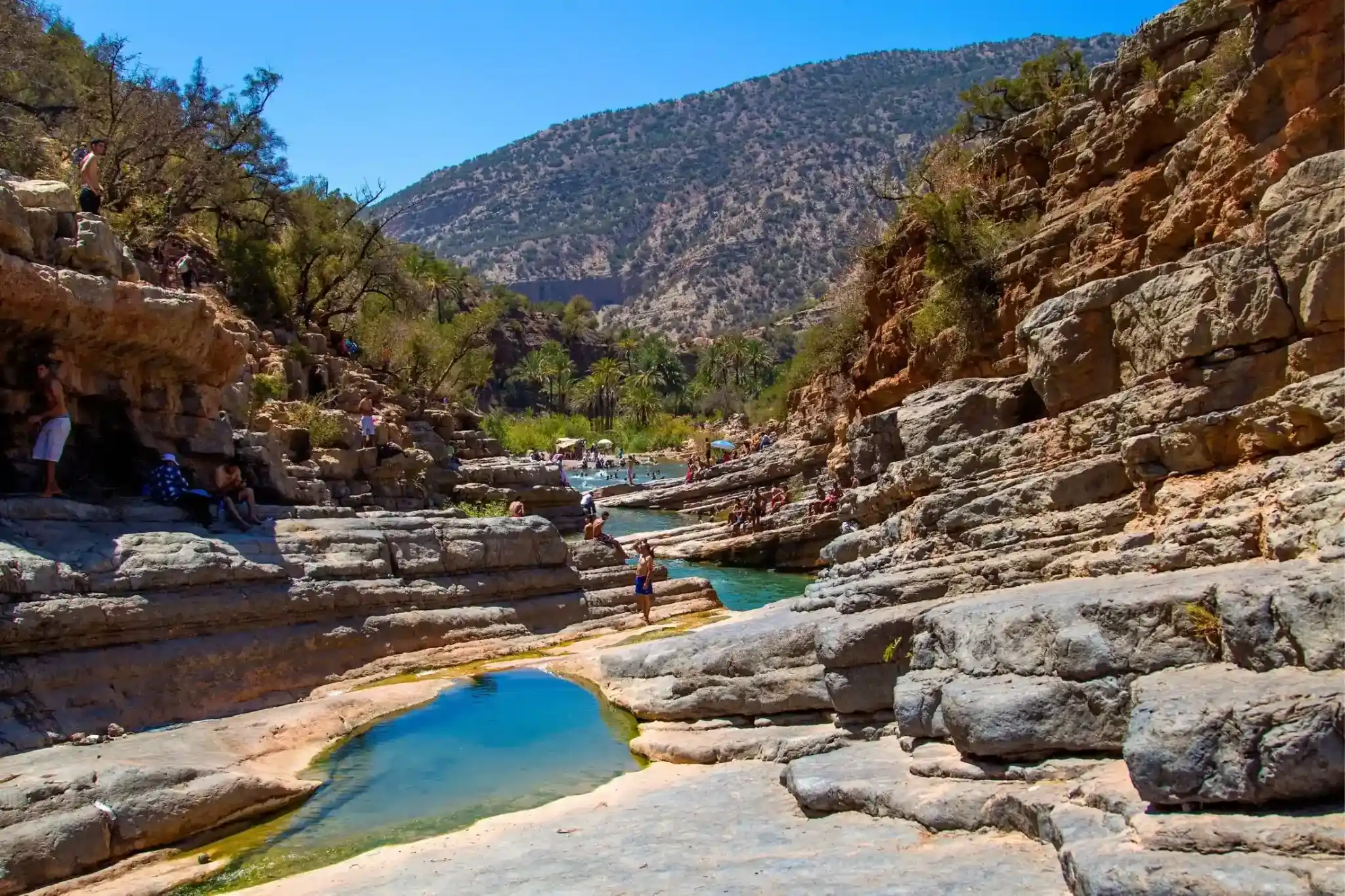 Agadir Crocoparc & Anaconda Park Ticket with Transport