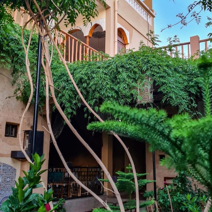 Taroudant & Tiout Guided Day Trip from Agadir