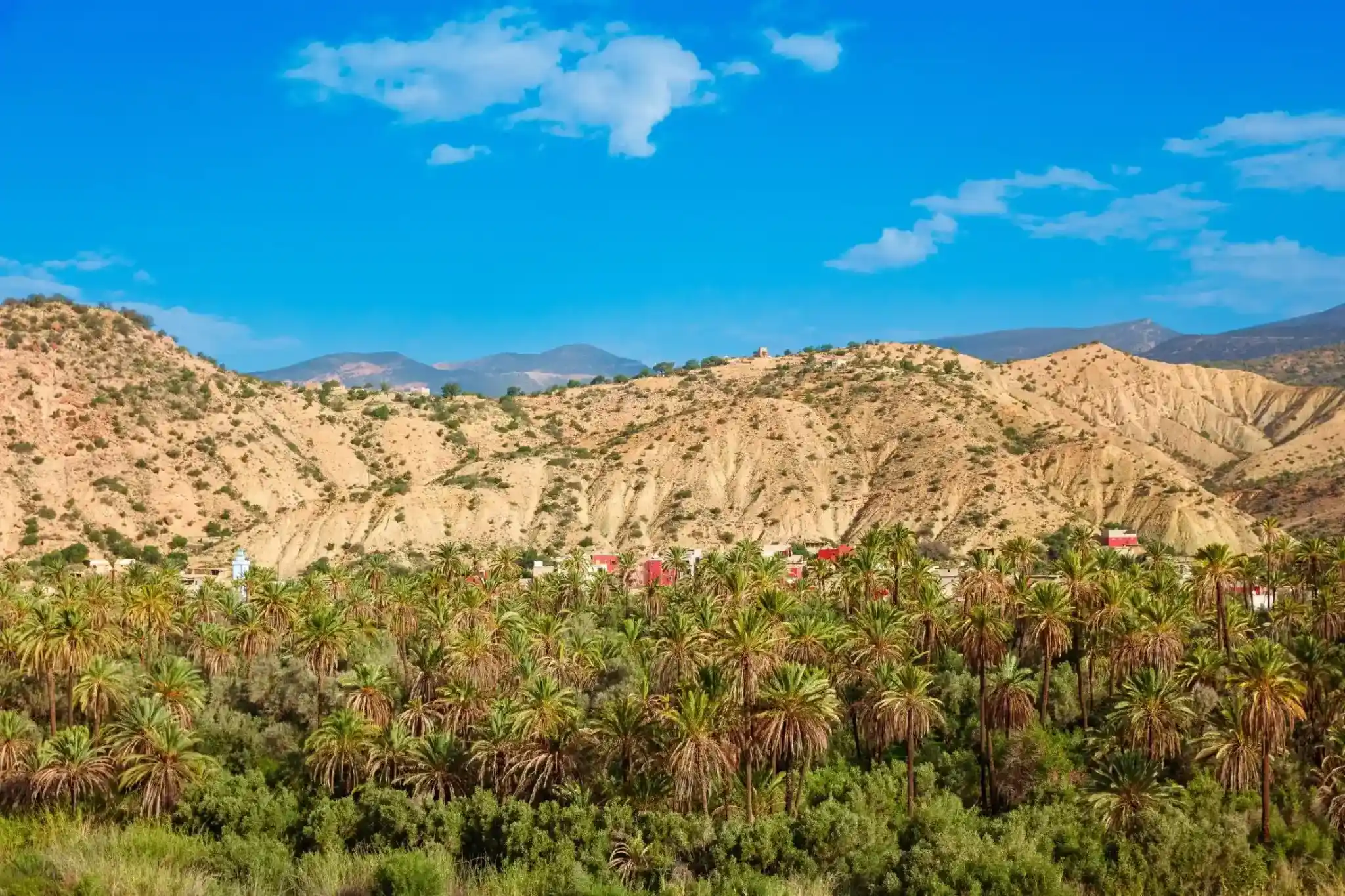 Agadir: Half-Day Paradise Valley & Atlas Mountains Tour