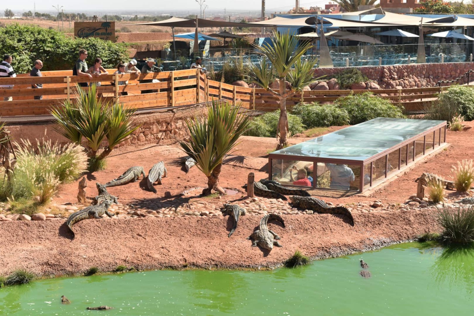 Crocoparc Agadir: Guided Family Tour with Skip-the-Line Tickets & Hotel Transfer