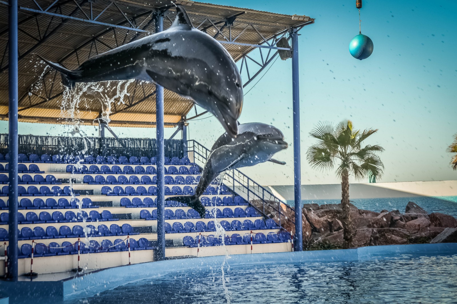 Agadir Dolphin World: Family Show Tickets with Hotel Transfer (2 Hours)