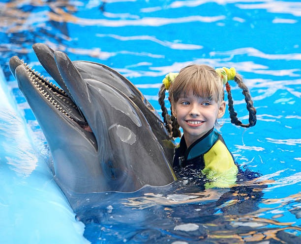 Agadir Dolphin World Kids Ticket: Marine Discovery & Acrobatics Show